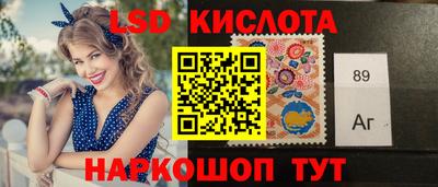 спайс Кингисепп