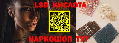 спайс Кингисепп