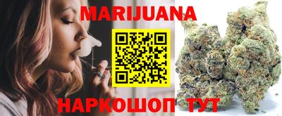 спайс Кингисепп