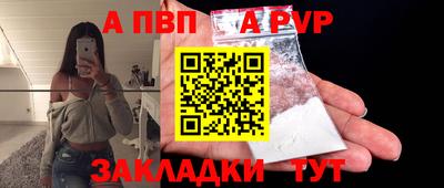 спайс Кингисепп