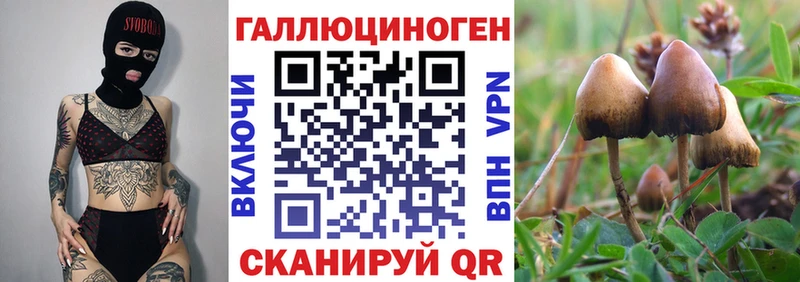 Псилоцибиновые грибы Psilocybine cubensis  где купить наркоту  Лангепас 